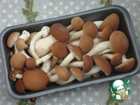 ������������ ����� � ����������� ����� �����������