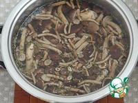 ������������ ����� � ����������� ����� �����������