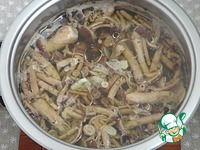 ������������ ����� � ����������� ����� �����������