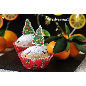 ������������ ����� � ���������