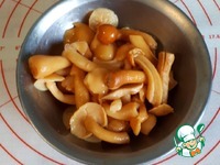 ����� � ������� � ������� ��������� �����������