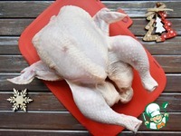 ������, ������������� �������� � ������� �����������