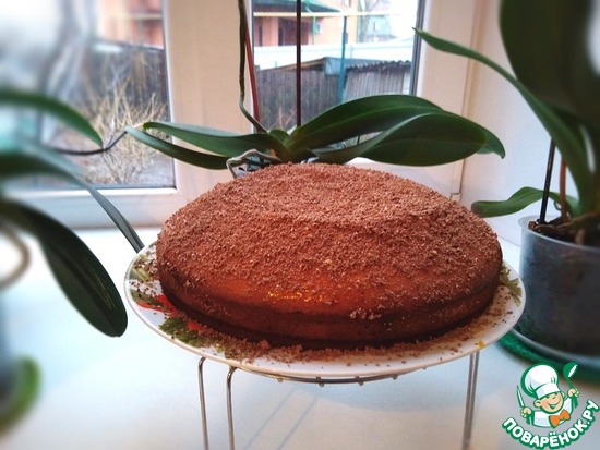 ����� ������ �� ������� bagira13