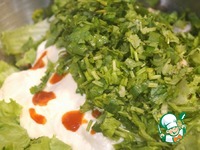 ����� "�������" � ����������� � �������� �����������