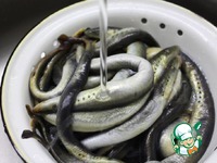 ������ � �������� � ������� �����������