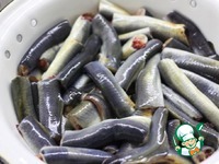 ������ � �������� � ������� �����������