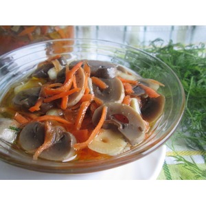 ������������ ���������� � ��������