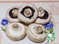 ������������� ������� ������ � ����� �����������