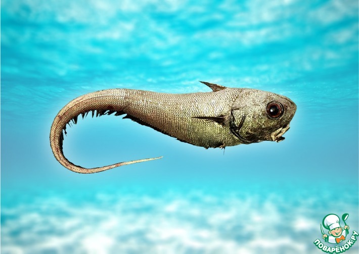 ���������� � �� ����������