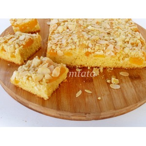 ������������ ����� � ���������