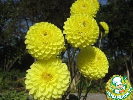 ��������� ���� �� �������� �����������!