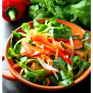 C���� �� �������� ����� "����-����������"