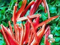 C���� �� �������� ����� "����-����������" �����������