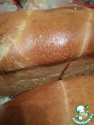 ������� ���� �� ��������