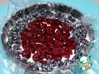 �����-�������� ������ � ������� �����������