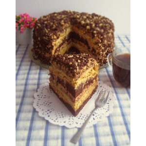 ���� ���������-��������