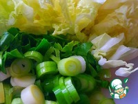 ��� �� ��������� ������� � �������� �����������