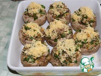 ����������, ������������� �������� � �������� �����������