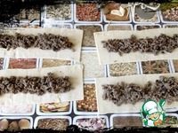 ������ ����-������� �� �������� ����� �����������