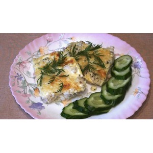 ������ ���������