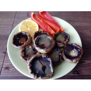 ���������� "���������" �� �������