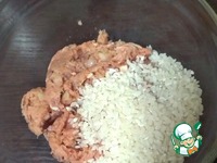 ������ ������� �����������