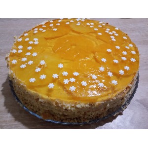 ���� "������ � ���� ����������"