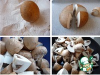 ������� ���������� � ��������� ������ �����������