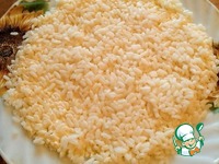 �����-���� �����������