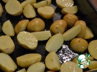 ������, ���������� � �������� � ������� �����������