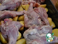 ������, ���������� � �������� � ������� �����������