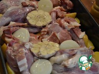 ������, ���������� � �������� � ������� �����������