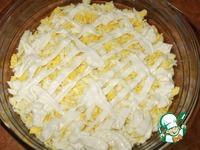 ����� "���������" �����������