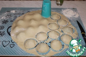 Открытый пирог с курицей и овощами