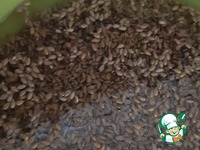 ����� ������� "������" �����������