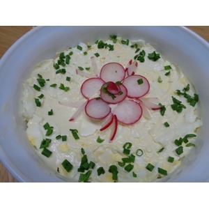 ����� "���������� ����"