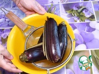 ���� �� ����������, ��������� � ���� �����������