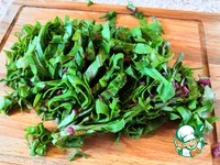 �������� �� ���� �����������