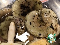 ����� �� �������� �����������