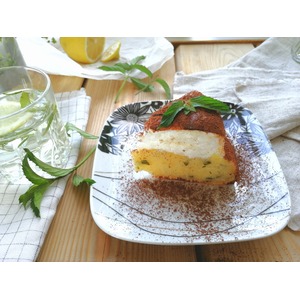 ����� "��������"