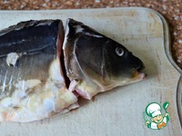 ������� ������ ������ �����������