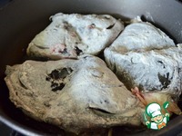 ������� ������ ������ �����������