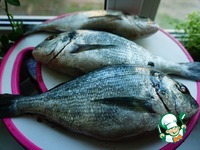 ������ �������� �������� � ������� �����������