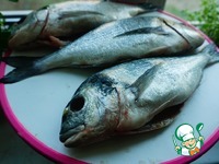 ������ �������� �������� � ������� �����������