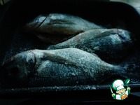 ������ �������� �������� � ������� �����������