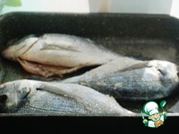 ������ �������� �������� � ������� �����������