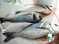 ������ �������� �������� � ������� �����������