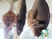 ������ �������� �������� � ������� �����������