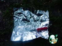 ������ �������� �������� � ������� �����������