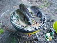 ������ �������� �������� � ������� �����������